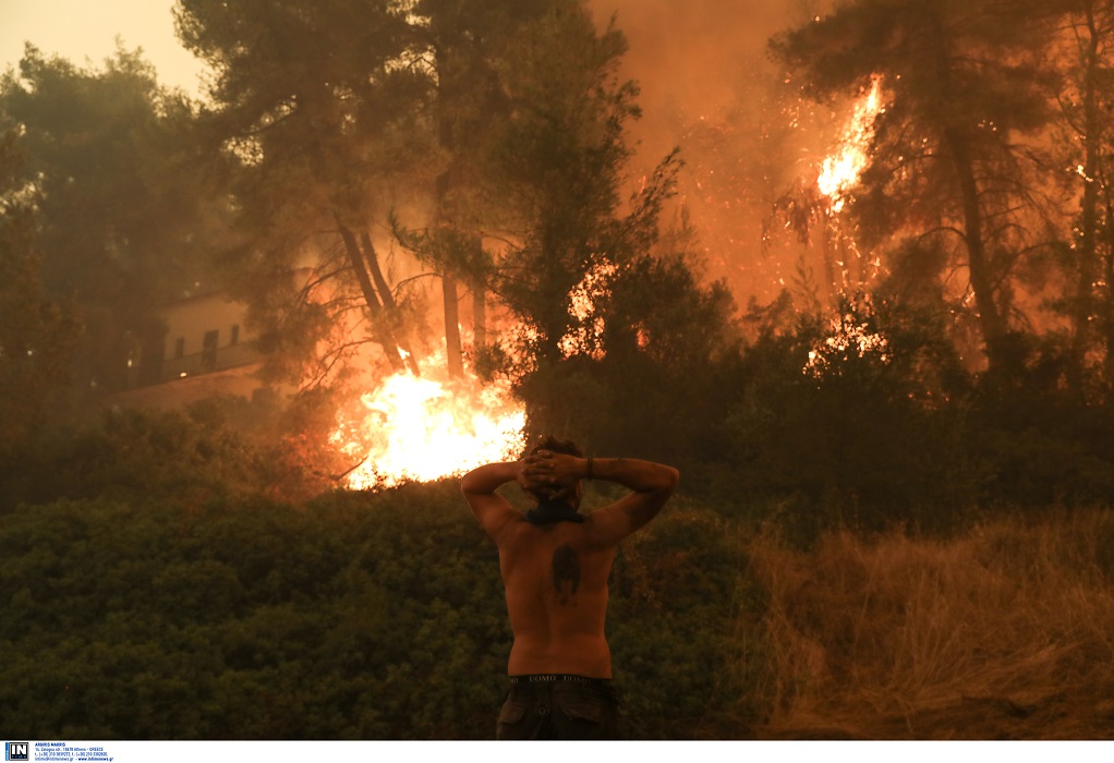 Φωτιές στην Εύβοια – Λέκκας: 300.000 στρέμματα δάσους έχουν καταστραφεί ολοσχερώς