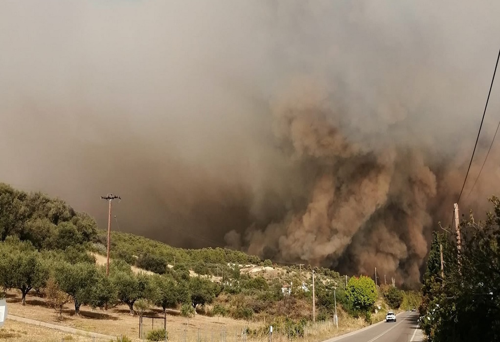 Πυρκαγιά στην Εύβοια: Εκκενώνεται το χωριό Κεχριές – Χτυπούν οι καμπάνες (VIDEO)