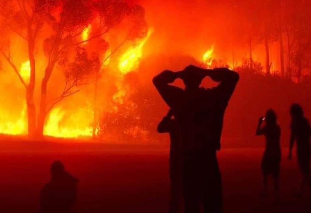 Αλγερία: Πυροσβέστες, στρατιώτες, εθελοντές σβήνουν τις τελευταίες δασικές πυρκαγιές – Σχεδόν 90 οι νεκροί