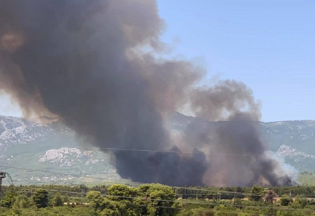 Πυρκαγιά-Βαρυμπόμπη: Έκλεισε η ΕΟ προς Λαμία- Εκκενώνονται ο Άγιος Στέφανος και βιομηχανίες