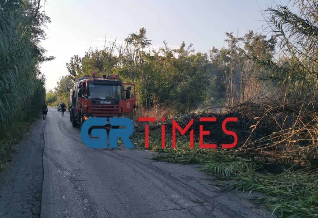 Πυροσβεστική: 33 δασικές πυρκαγιές το τελευταίο 24ωρο σε όλη την Ελλάδα