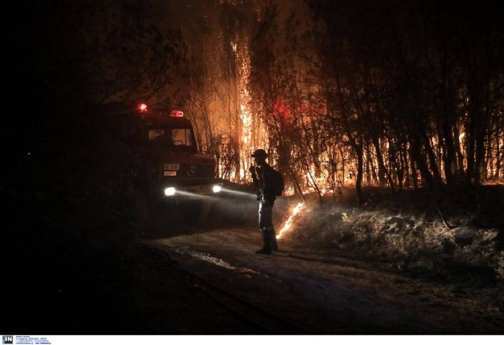 Φωτιά στην Αιγιάλεια: Καταστράφηκαν ολοσχερώς 10 σπίτια- Ζημιές και στις καλλιέργειες