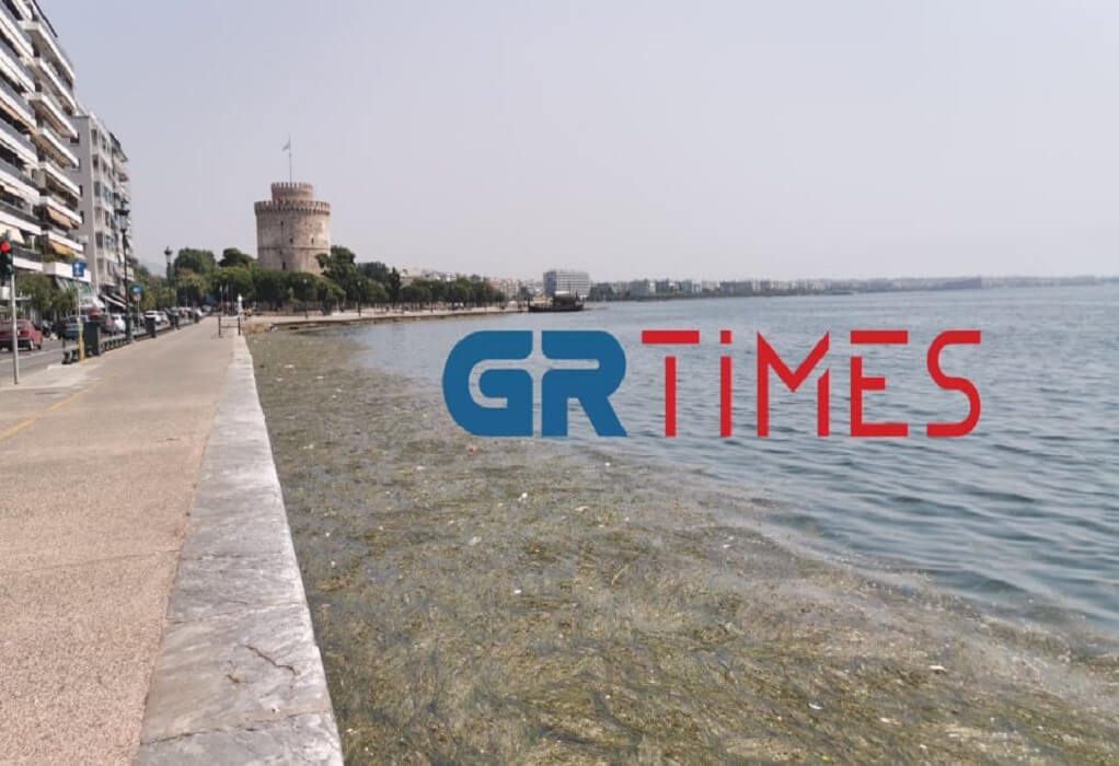 Θεσσαλονίκη: Με νεκρά πτηνά, σκουπίδια και φύκια ξανά ο Θερμαϊκός (ΦΩΤΟ-VIDEO)