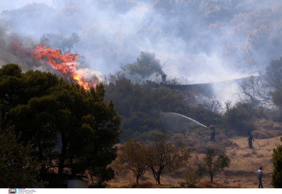Φωτιές: Μεγάλη και δύσκολη η νύχτα σε Βίλια και Κερατέα – Μάχη με τις φλόγες