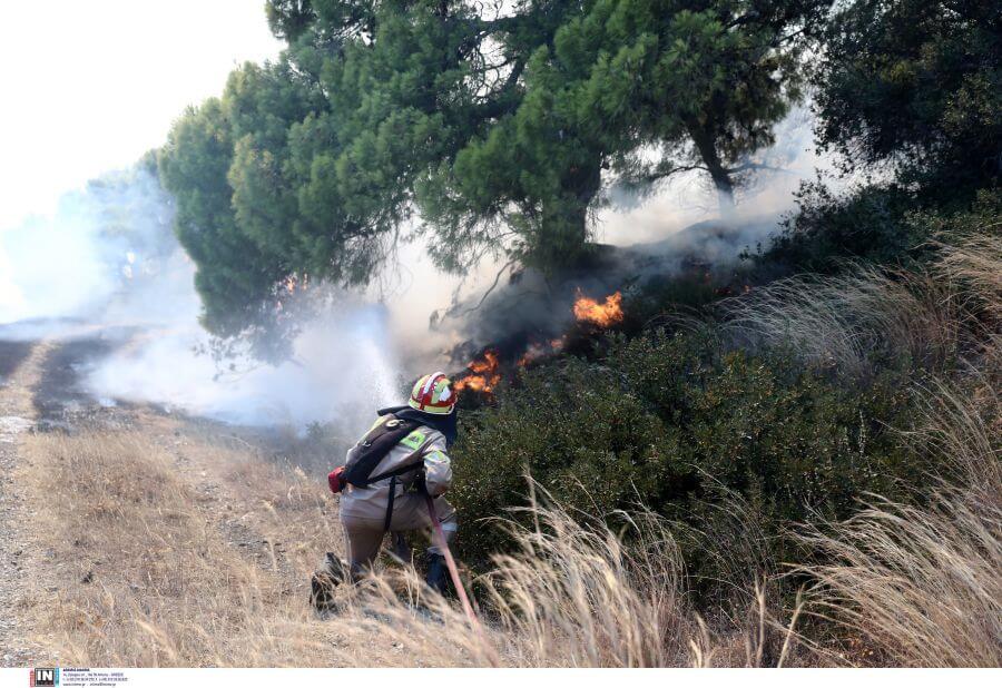 Δήμαρχος Μάνδρας: Οι ενδείξεις ότι η πυρκαγιά είναι εμπρησμός γίνονται αποδείξεις