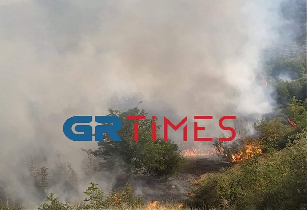 Κιλκίς: Δεν εμπνέει ανησυχία η φωτιά στη Νέα Σάντα (ΦΩΤΟ-VIDEO)
