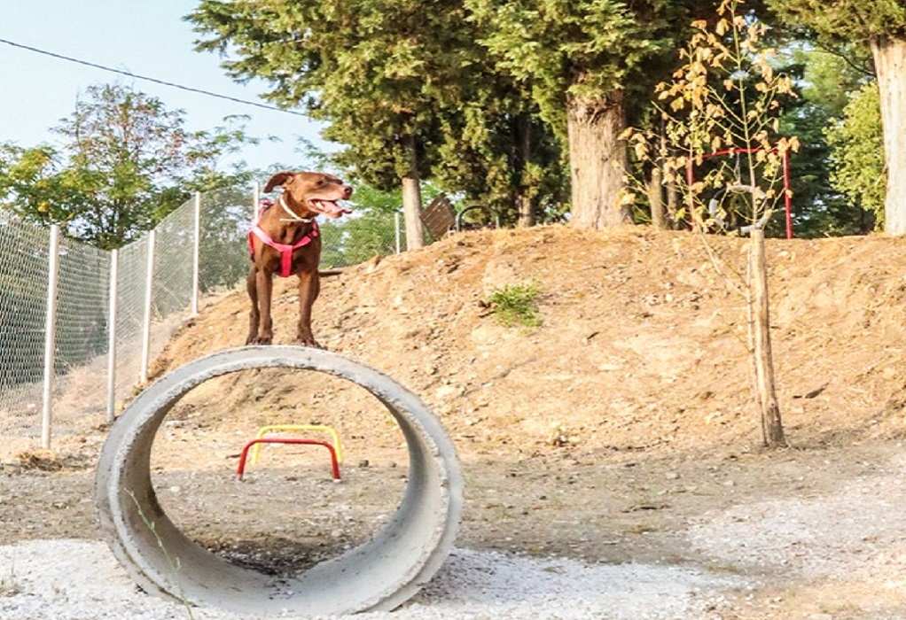 Πάρκο σκύλων με ανακυκλωμένα υλικά στα Τρίκαλα
