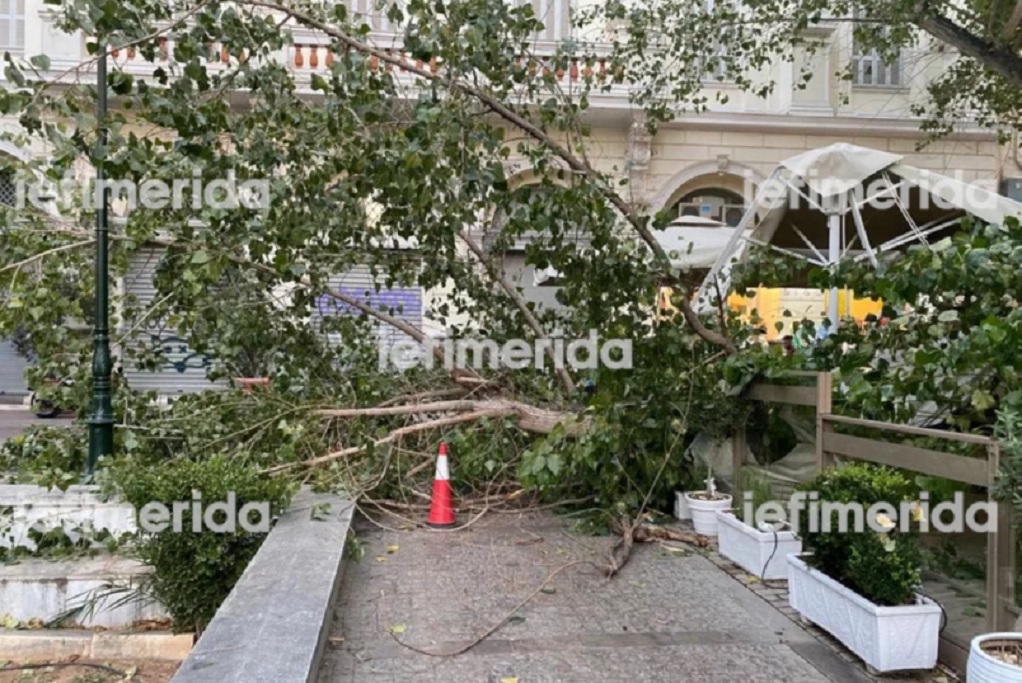 Αθήνα: Δέντρο έπεσε σε εστιατόριο που δειπνούσαν Πάιατ – Μενέντεζ
