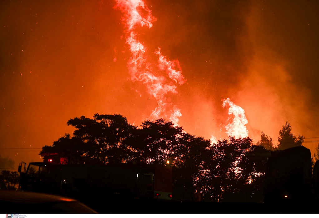 Κορινθία: Πυρκαγιά σε δασική έκταση στην Ευρωστίνη