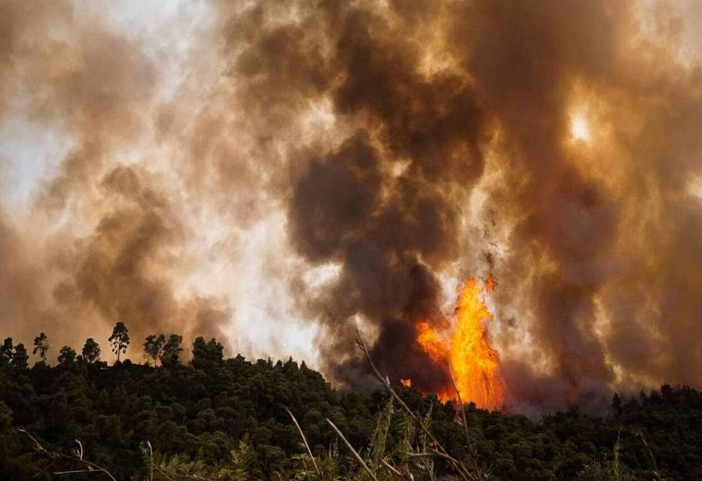 ΓΓΠΠ: Πολύ υψηλός κίνδυνος πυρκαγιάς σήμερα για 5 Περιφέρειες της χώρας (Χάρτης)