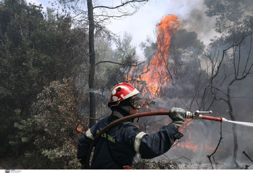 Εύβοια: Αγνοείται πυροσβέστης στην Αμφιθέα
