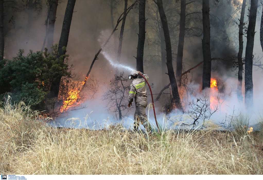Αταλάντη: Τρεις φωτιές από κεραυνούς – Πυρκαγιά και στο Σχιστό 