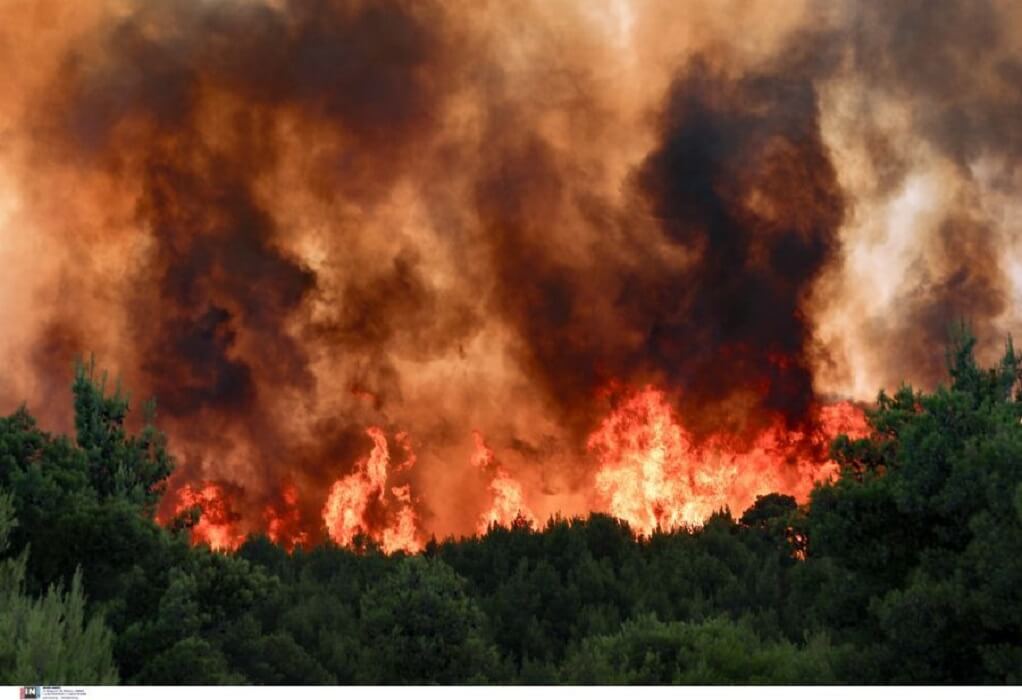 Ζάκυνθος: Δυο πυρκαγιές μέσα σε λίγη ώρα στα χωριά Λιθακιά και Μαχαιράδο