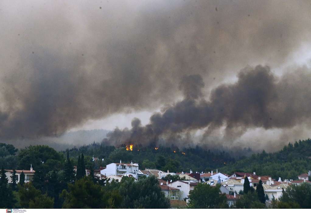 Πλειώνης σε Τσίπρα: Οι άνεμοι στα μέτωπα της πυρκαγιάς στην Αττική δεν ξεπερνούν τα 4 μποφόρ