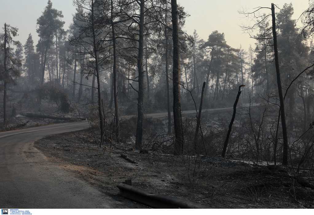Β. Εύβοια – Αττική: Σχέδιο για απομάκρυνση κατοίκων από τα σπίτια τους σε καμένες περιοχές