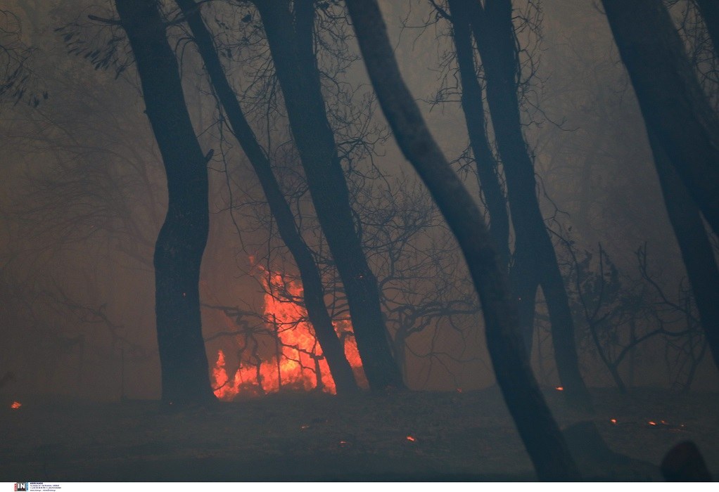 Λέκκας – Βαρυμπόμπη: Οι τρεις παράγοντες που βοήθησαν την εξάπλωση της πυρκαγιάς