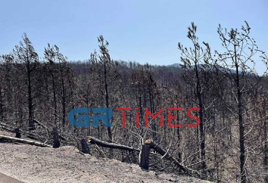 Οδοιπορικό του GRTimes στις καμένες περιοχές της Εύβοιας (ΦΩΤΟ)