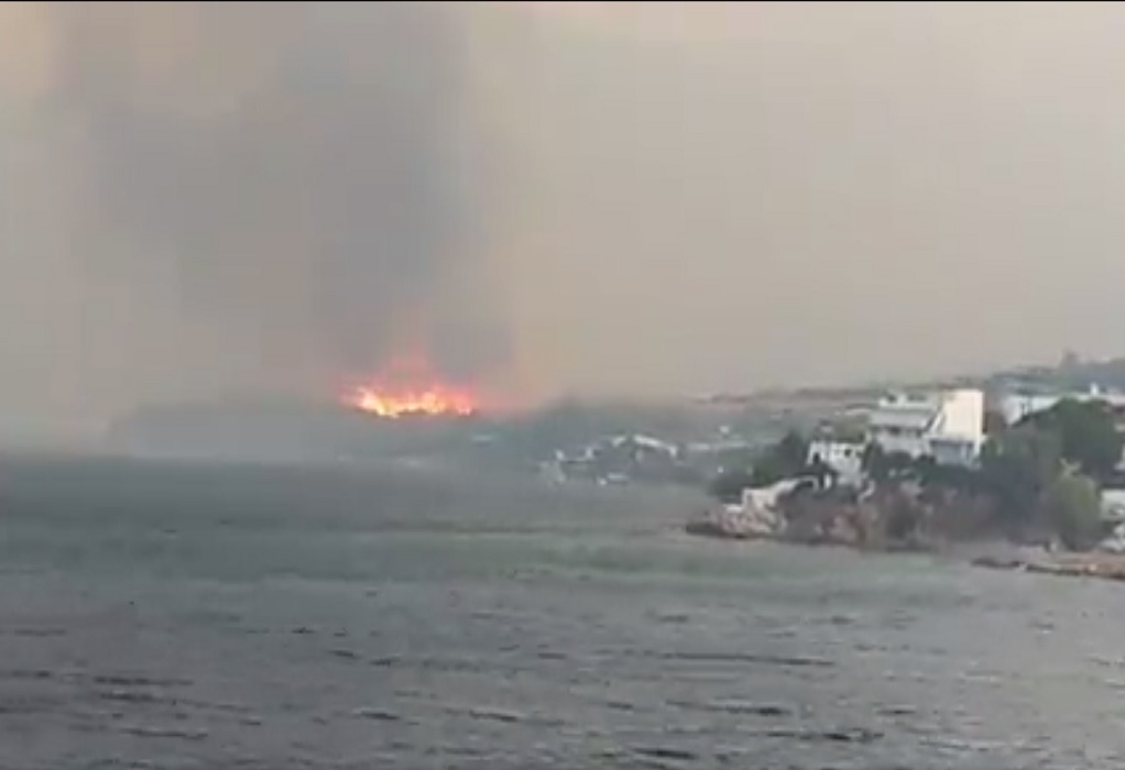 Εύβοια: Οριοθετήθηκε η πυρκαγιά στην Κάρυστο (VIDEO)