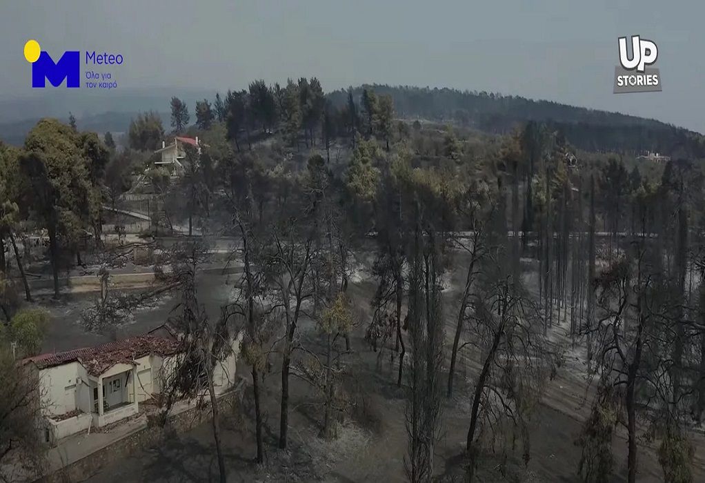 Πυρκαγιά στην Εύβοια: Βίντεο από drone δείχνει την βιβλική καταστροφή
