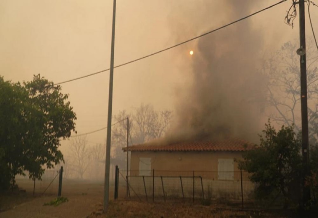 Λαμία: Φωτιά στο Παλαιοχώρι – Μεγάλη η κινητοποίηση της Πυροσβεστικής 