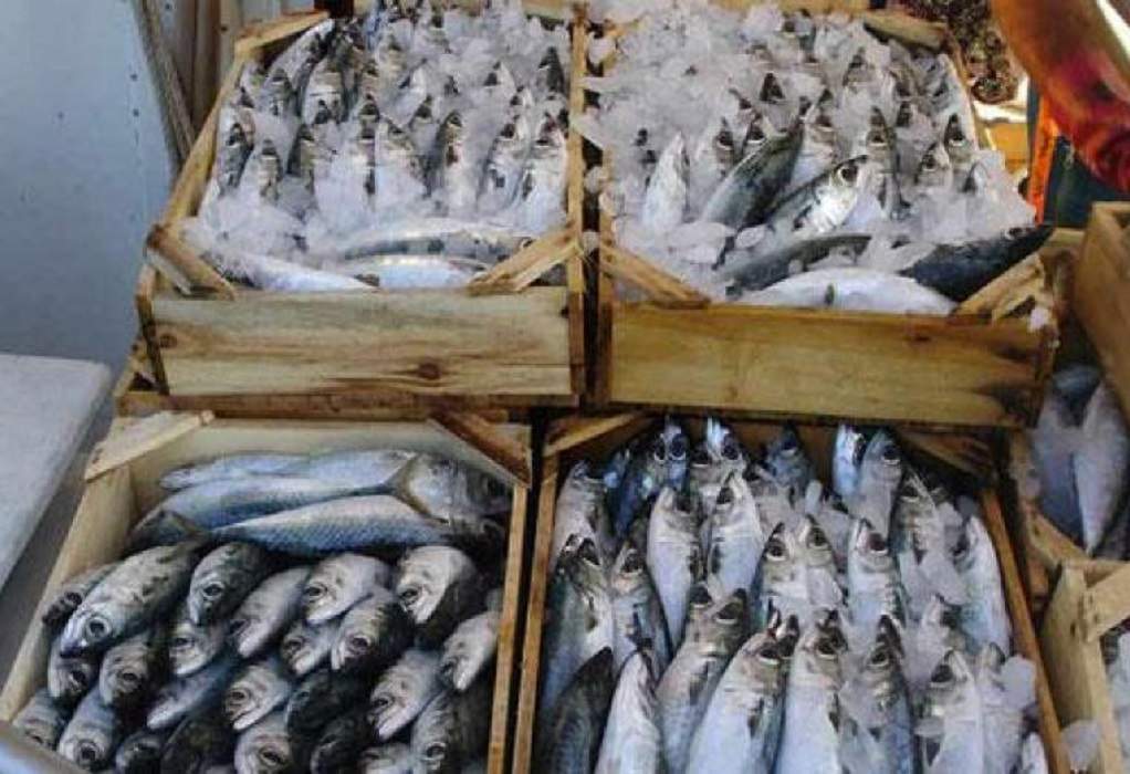 Επιτρέπεται ο καθαρισμός των αλιευμάτων στις λαϊκές αγορές