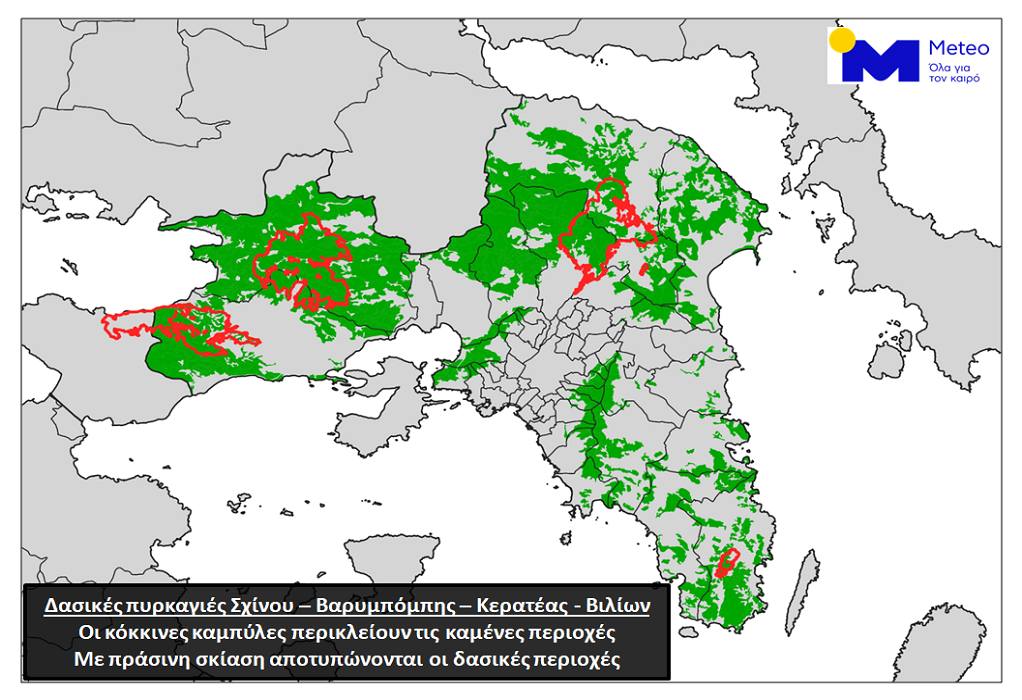 Meteo: Οι πρόσφατες πυρκαγιές στην Αττική έκαψαν το 16% των δασών της