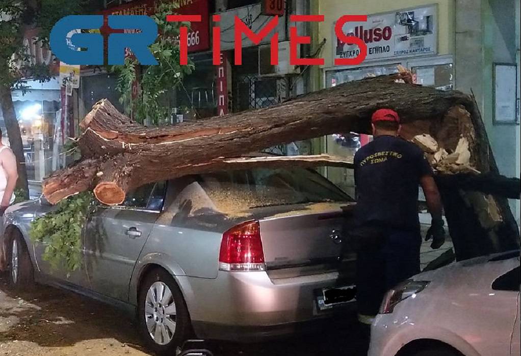 Θεσσαλονίκη: Δέντρο έπεσε πάνω σε αυτοκίνητο στο κέντρο της πόλης (ΦΩΤΟ-VIDEO)