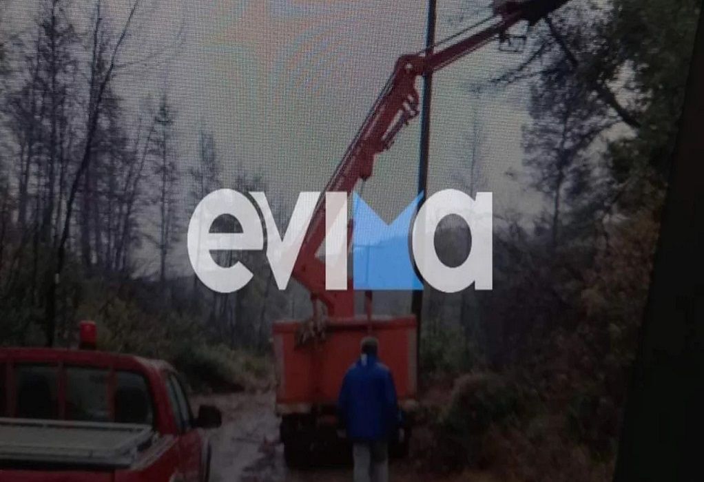 Η κακοκαιρία «χτύπησε» την Εύβοια – Πτώσεις δέντρων άφησαν χωρίς ρεύμα και νερό οικισμό (ΦΩΤΟ-VIDEO)