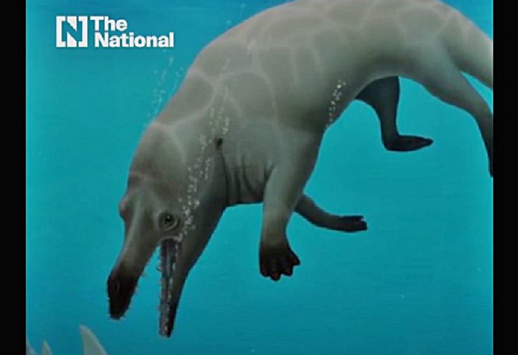 Αίγυπτος: Ανακαλύφθηκε προϊστορική τετράποδη φάλαινα