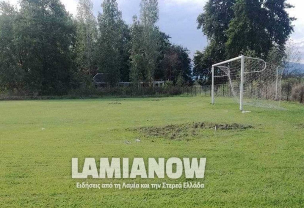 Φθιώτιδα: Αγριογούρουνα όργωσαν ποδοσφαιρικό γήπεδο (ΦΩΤΟ)