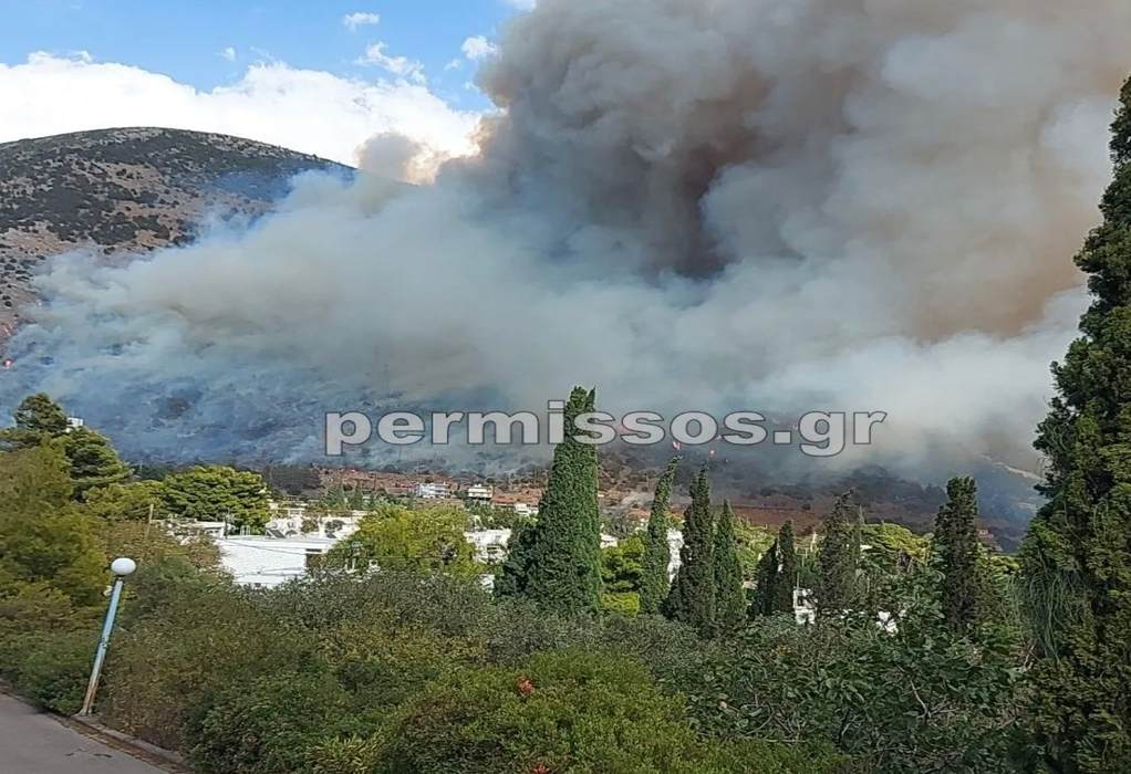 Φωτιά – Βοιωτία: Μάχη να τεθεί υπό έλεγχο η πυρκαγιά στο Δίστομο