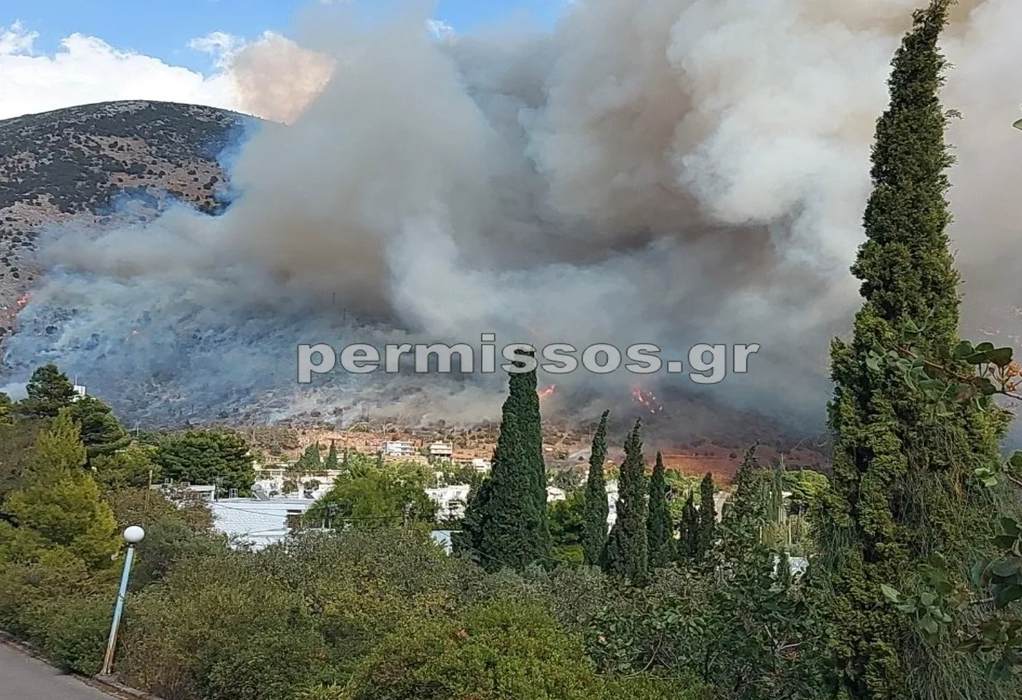 Φωτιά – Βοιωτία: Ενισχύονται οι δυνάμεις στην πυρκαγιά στο Δίστομο – Μήνυμα από το 112