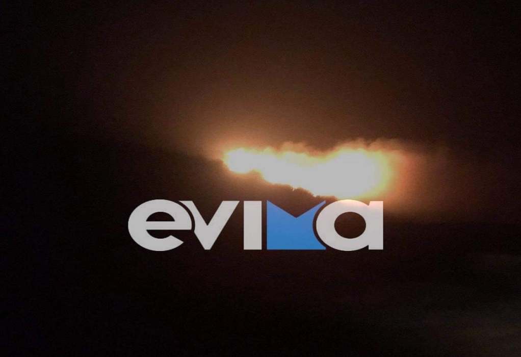 Εύβοια: Φωτιά σε δασική έκταση στην Κάρυστο