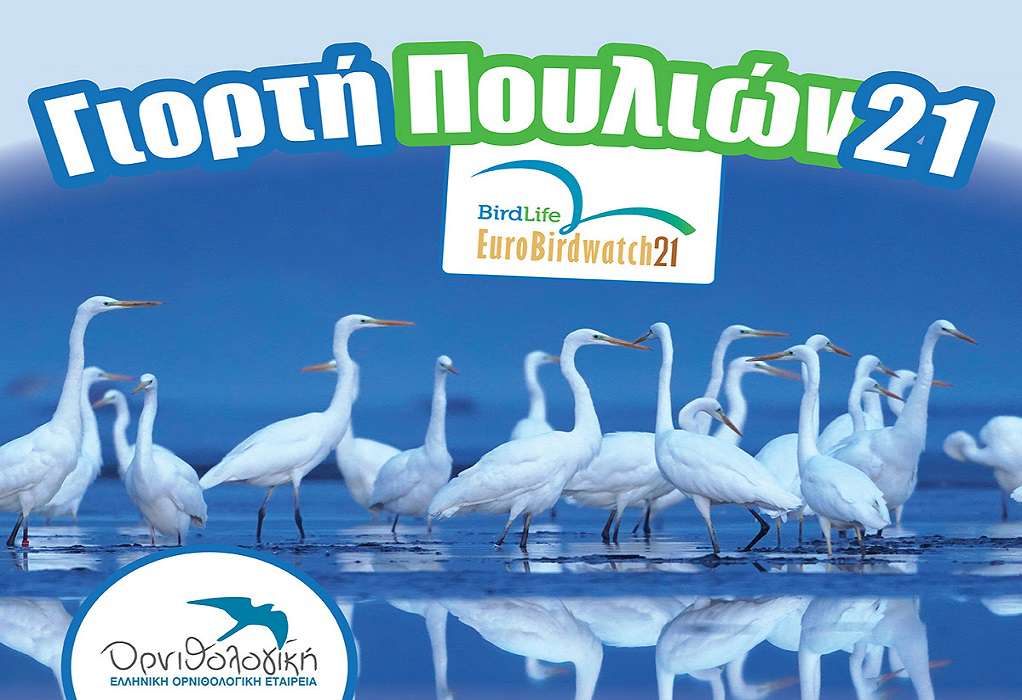 Θεσσαλονίκη: Γιορτή Πουλιών την Κυριακή με απελευθέρωση πουλιών στο Καλοχώρι