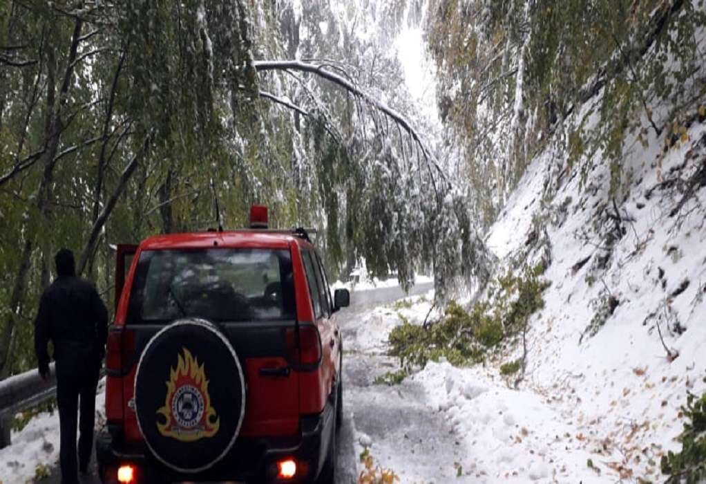 «Μπάλλος»: Έπεσαν δέντρα στο Βίτσι – Οδηγός απεγκλωβίστηκε από την Πυροσβεστική (ΦΩΤΟ)