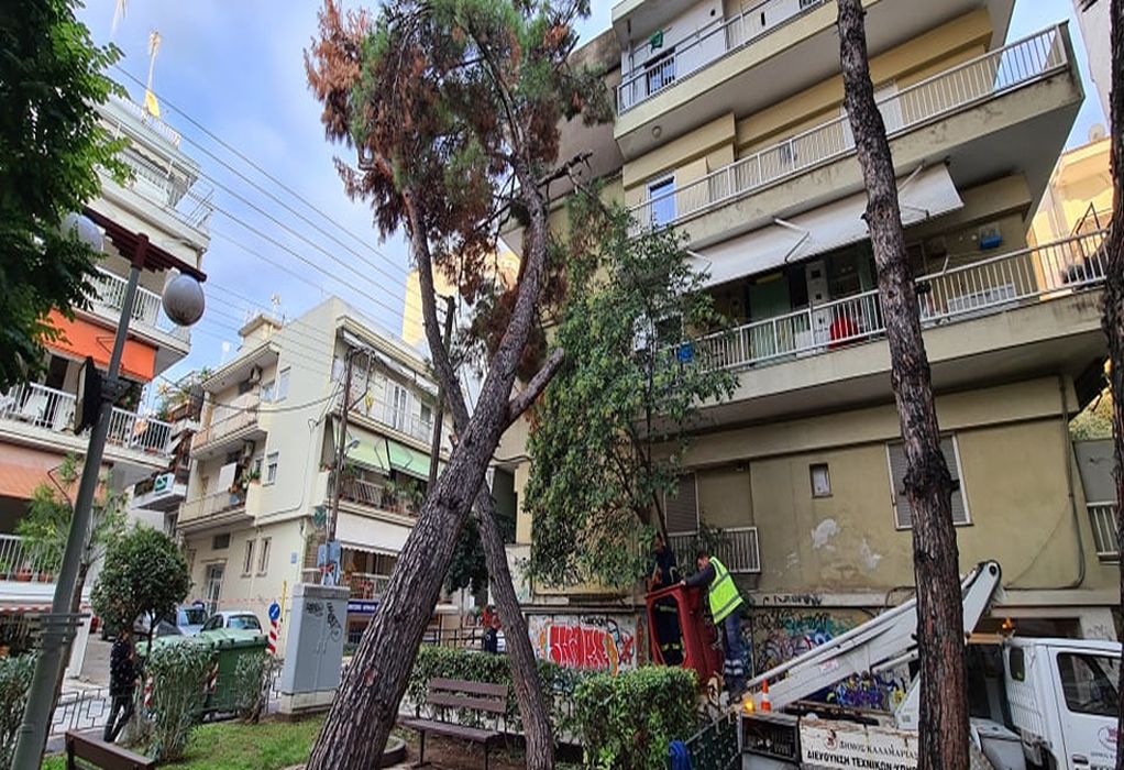Δέντρο έπεσε πάνω σε πολυκατοικία στην Καλαμαριά – Κλειστός ο δρόμος