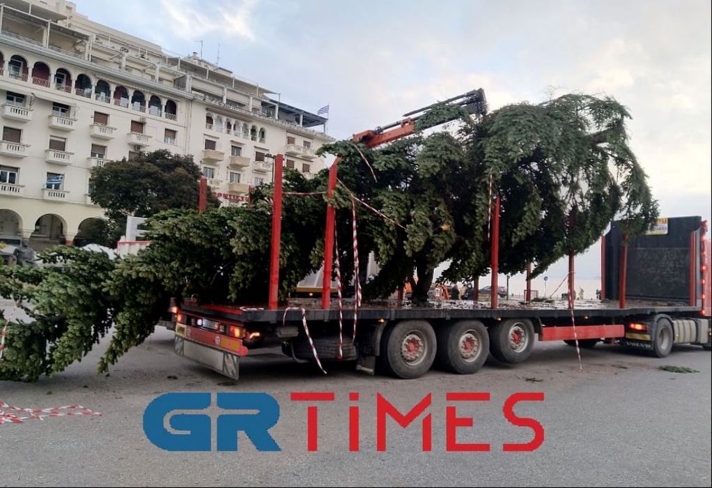 Θεσσαλονίκη: Έφτασε το χριστουγεννιάτικο δέντρο που θα «φωτίσει» την Αριστοτέλους (ΦΩΤΟ-VIDEO)