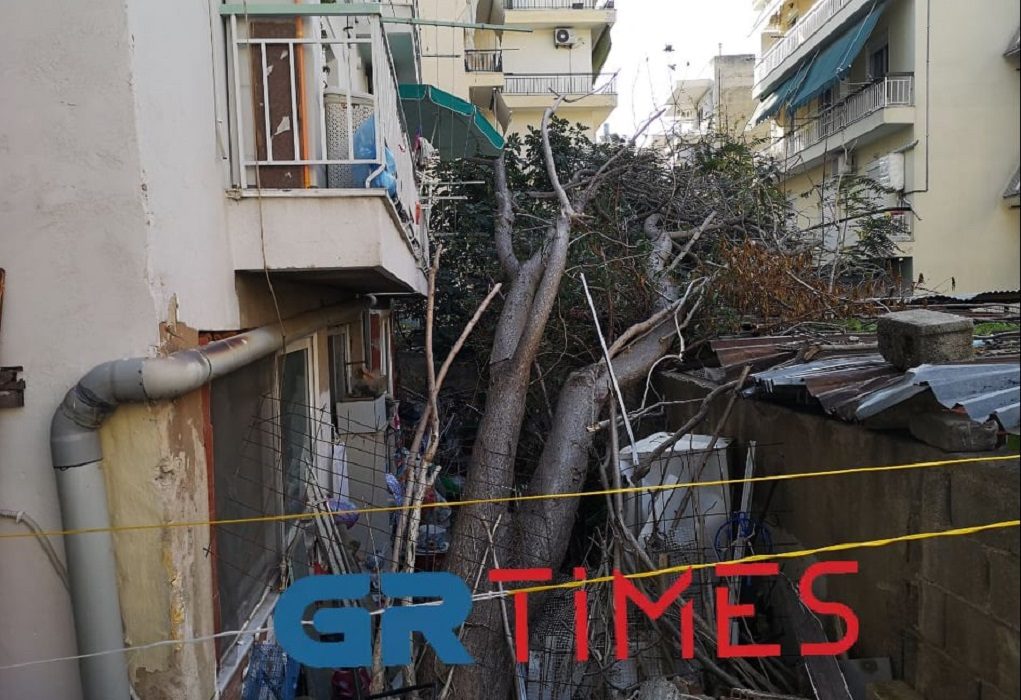 Θεσσαλονίκη: Δέντρο «απειλεί» να πέσει σε σπίτι – «Κινδυνεύει η ζωή μου» λέει η ένοικος (VIDEO)