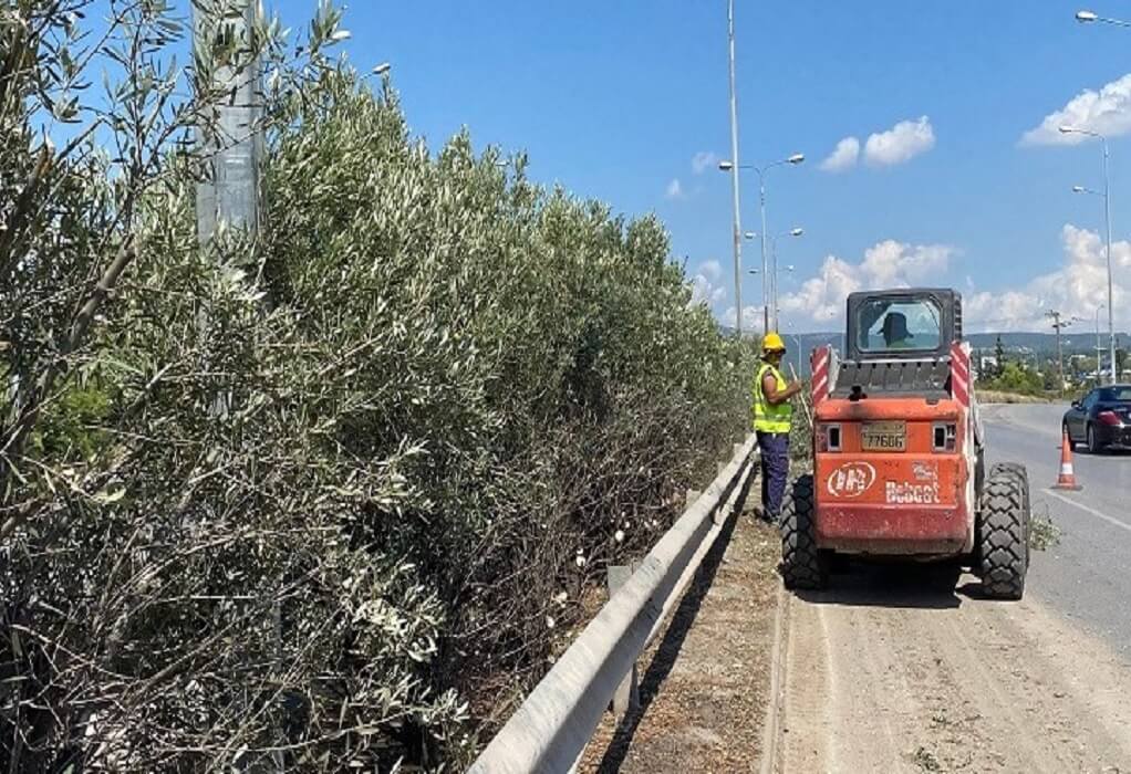 Εργασίες κοπής πρασίνου και κλαδέματος στην Περιφερειακή Οδό Θεσσαλονίκης από την ΠΚΜ