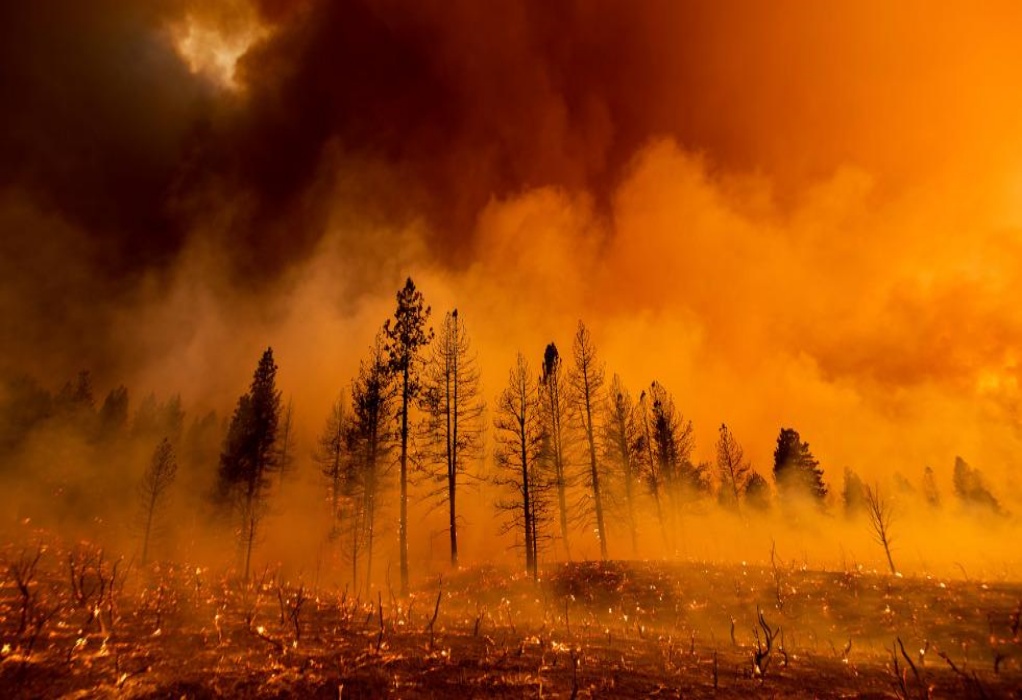 Υπερθέρμανση του πλανήτη: Κύριος ένοχος για τις δασικές πυρκαγιές στις δυτικές Ηνωμένες Πολιτείες 