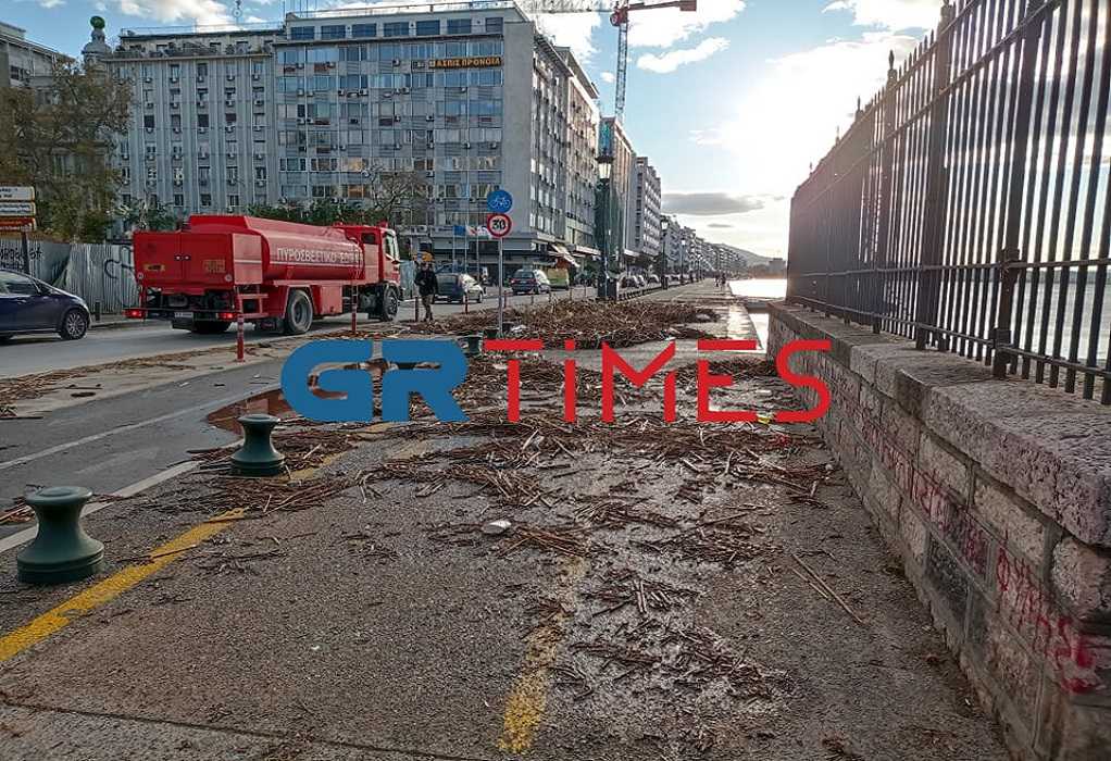 Θεσσαλονίκη: Καθάρισε την παραλία ο δήμος από τα καλάμια και τα σκουπίδια (VIDEO)