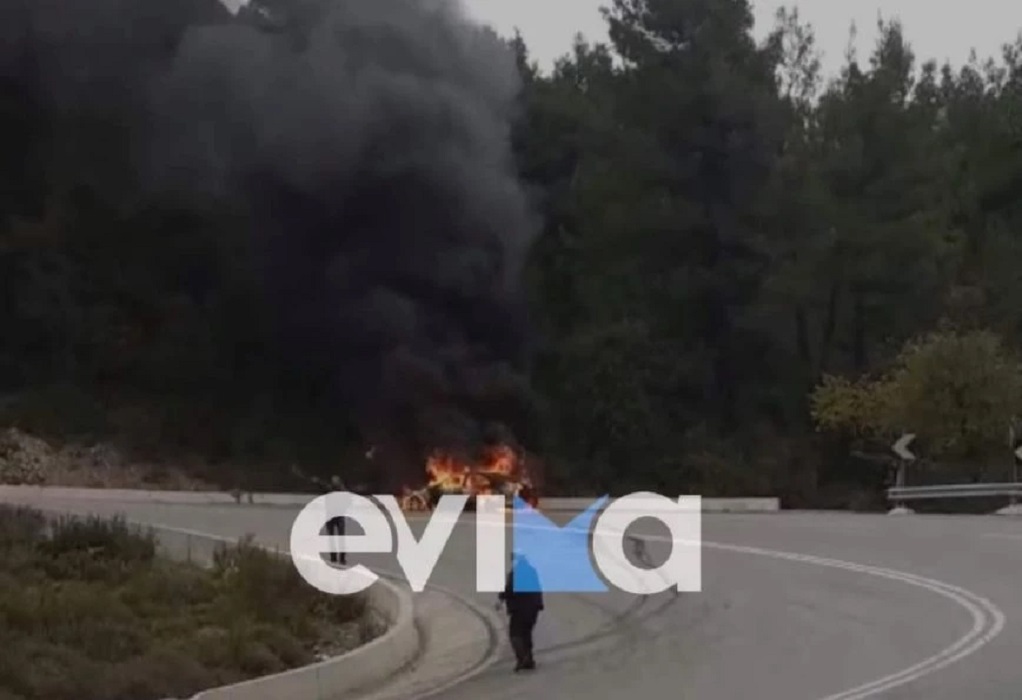 Εύβοια: Φωτιά σε αυτοκίνητο – Επεκτάθηκε και στο δάσος