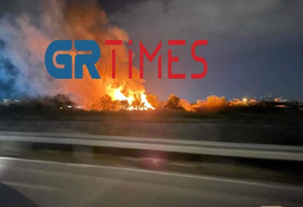 Θεσσαλονίκη: Μεγάλη φωτιά τα ξημερώματα στον Δενδροπόταμο (ΦΩΤΟ)