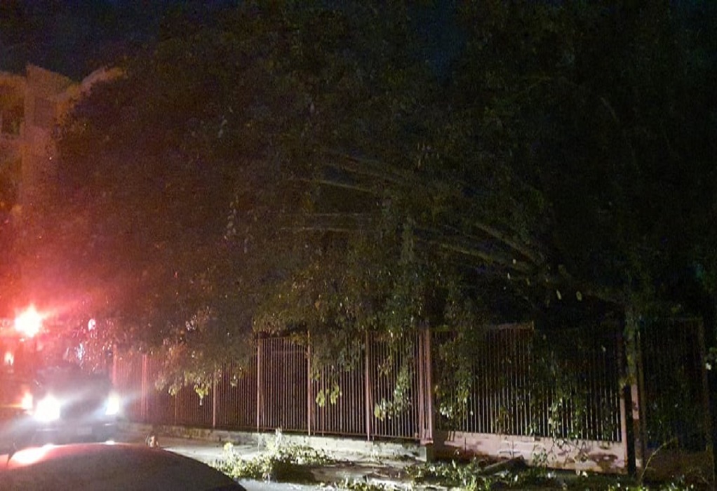 Καλαμάτα: Ισχυροί άνεμοι έριξαν δέντρο σε προαύλιο νηπιαγωγείου (ΦΩΤΟ)