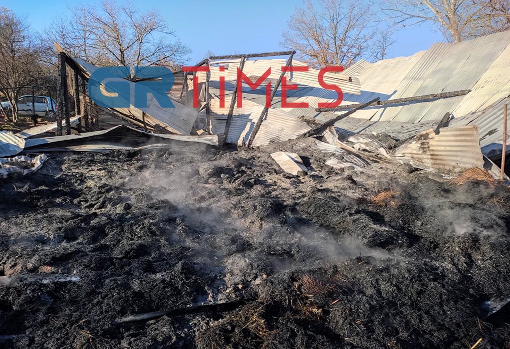 Θεσσαλονίκη: Φωτιά σε μαντρί στο Κολχικό – Κάηκαν ζωντανά 80 αμνοερίφια