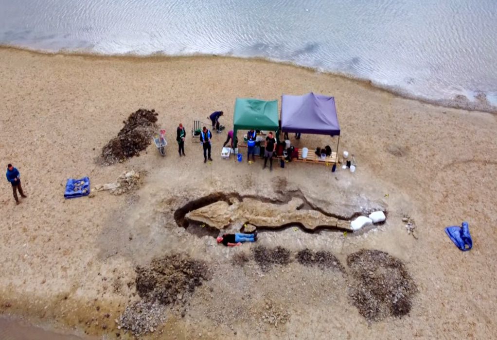Γιγαντιαίος προϊστορικός «θαλάσσιος δράκος» ανακαλύφθηκε στη Βρετανία