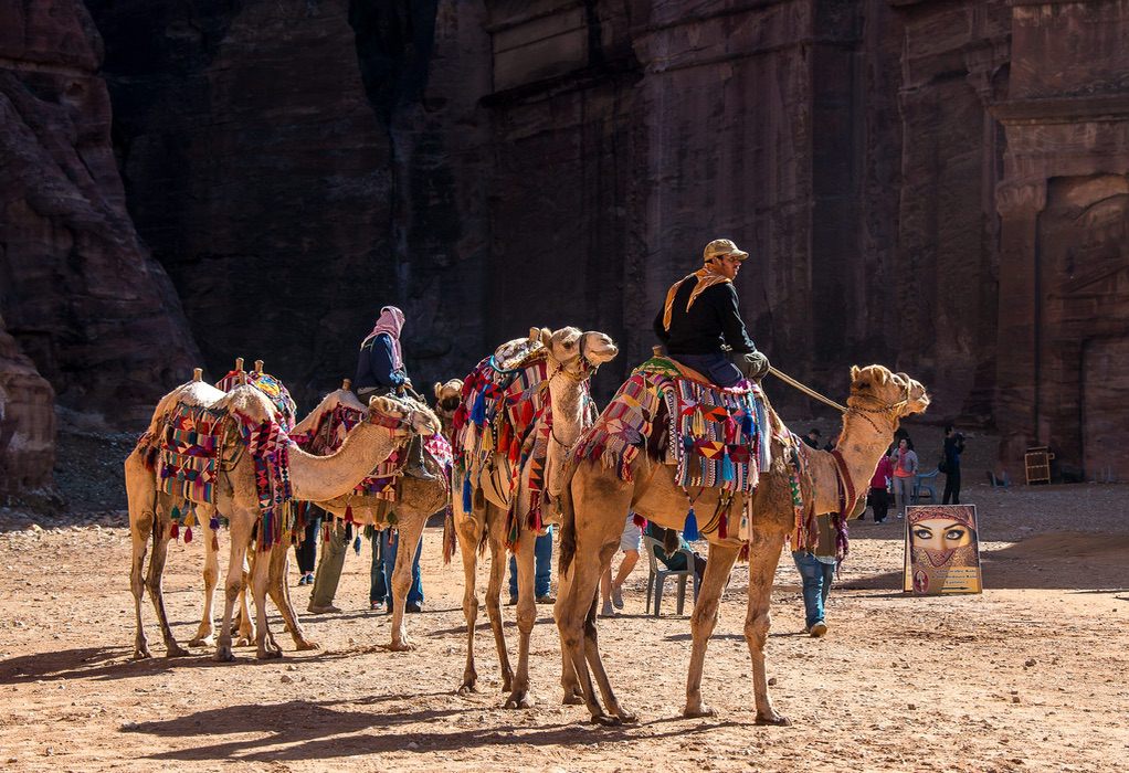 Σαουδική Αραβία: Ένα ξενοδοχείο για καμήλες στη μέση της ερήμου