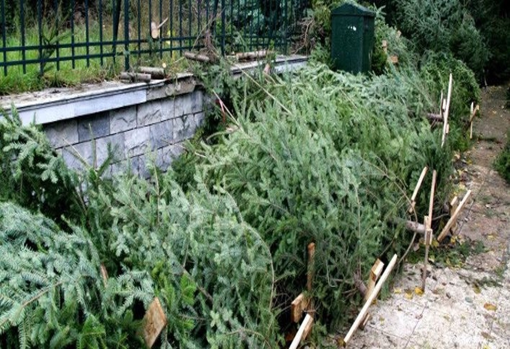 Ο δήμος Πυλαίας – Χορτιάτη & o ΦΟΔΣΑ ανακυκλώνουν τα δέντρα των Χριστουγέννων