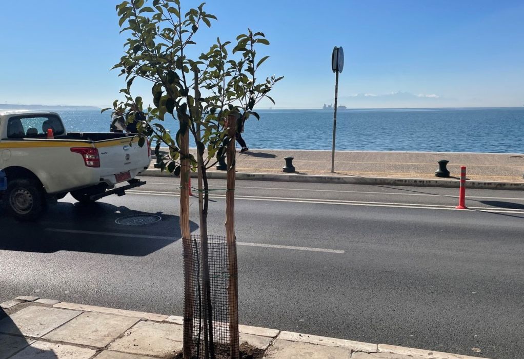 Δήμος Θεσσαλονίκης: Δενδροφυτεύσεις στην παραλιακή λεωφόρο