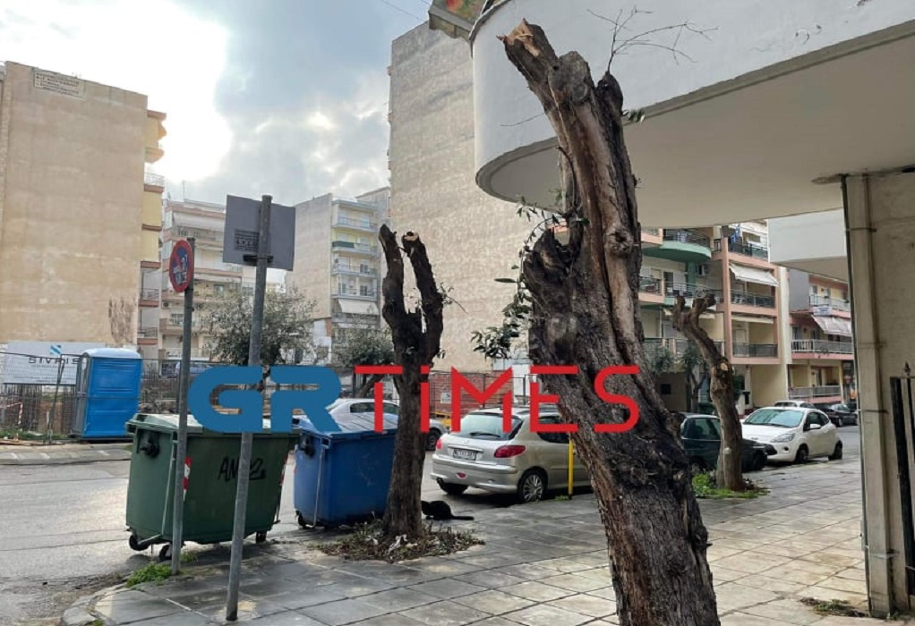 Αποστόλου- Ζάγκας: «Καμπανάκι» για το κλάδεμα δέντρων στον δήμο Κορδελιού-Ευόσμου (ΗΧΗΤΙΚΟ-ΦΩΤΟ-VIDEO)